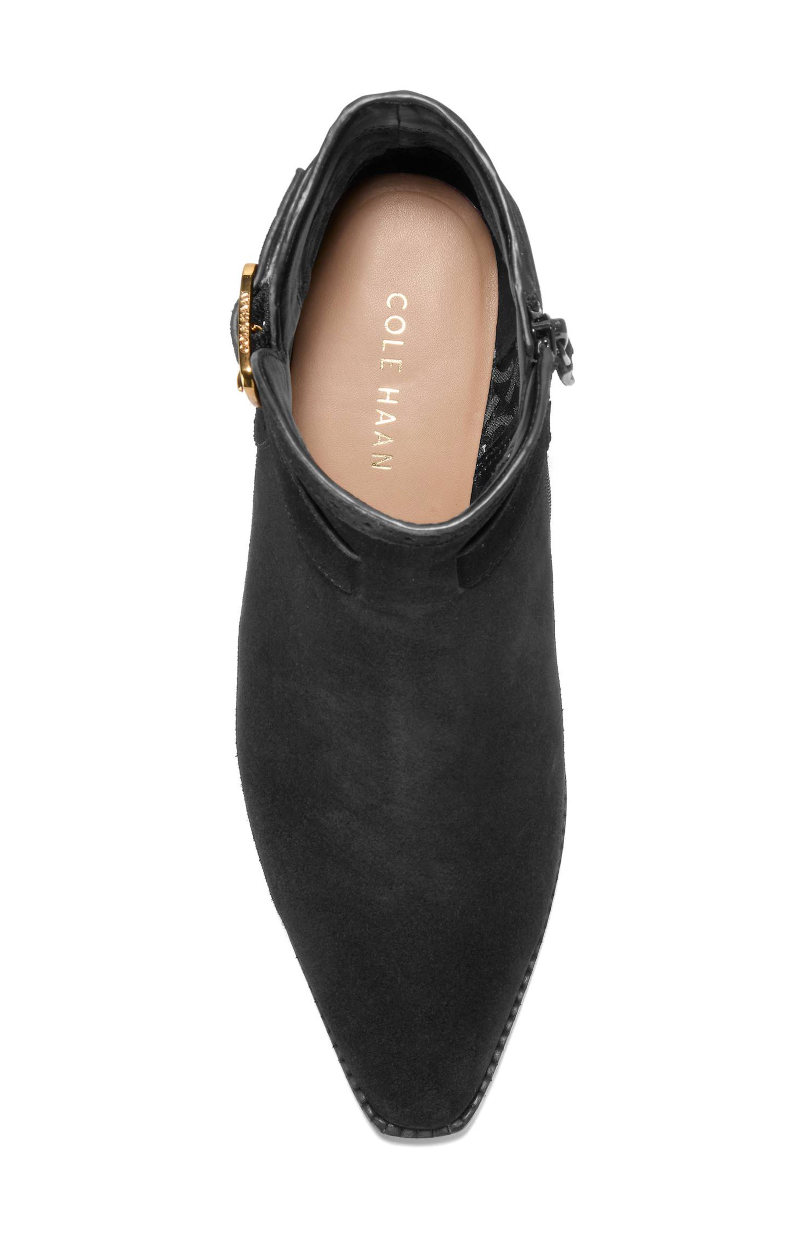Cole Haan Norella Buckle Bootie, Alternate, color, Black Suede