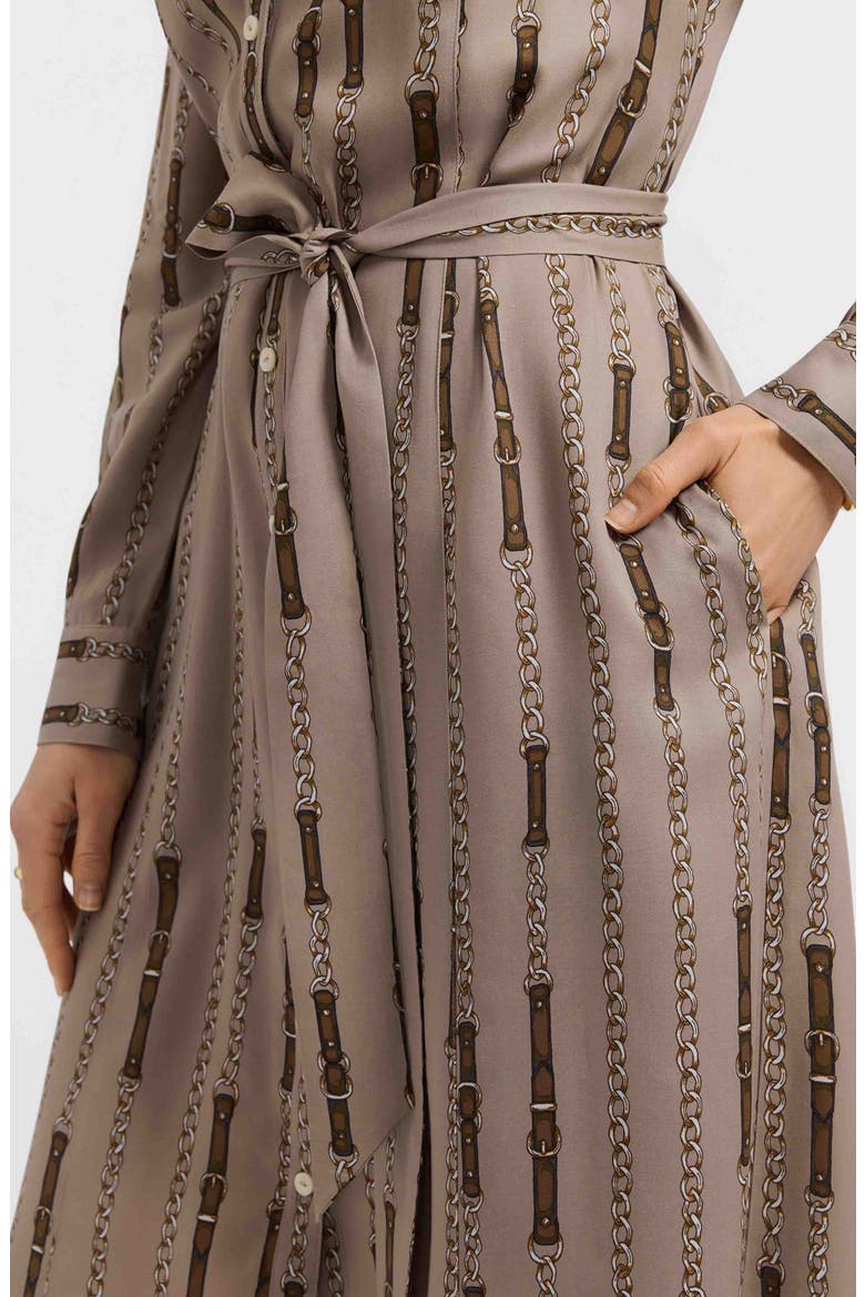 Fiona Chain Stripe Belted Shirtdress, Alternate, color, BROWN MULTI
