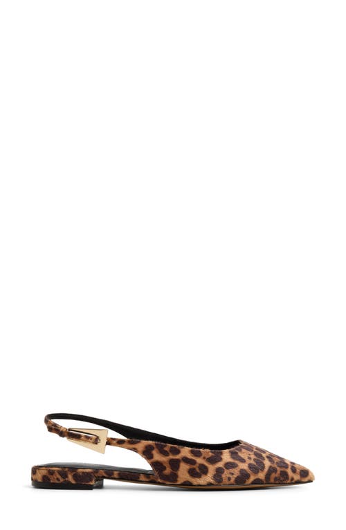 Aldo Kristell Pointed Toe Slingback Flat