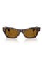 selected 362 / True Brown