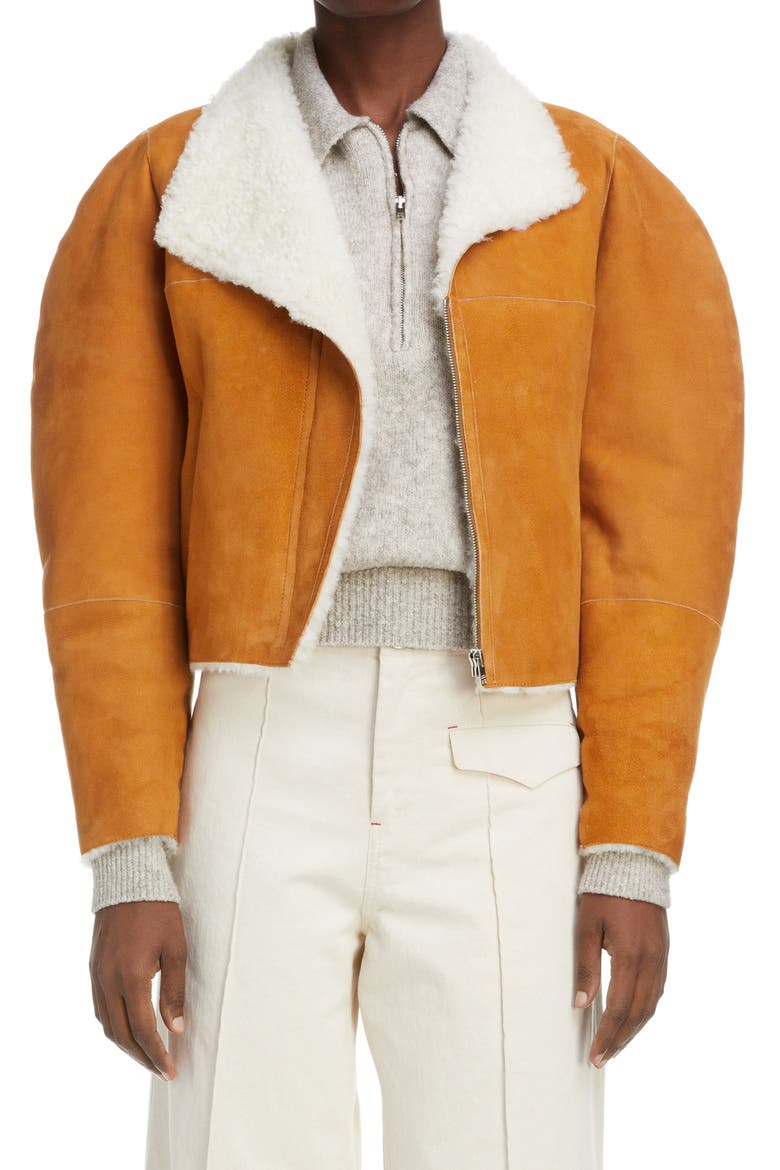 Acacina Crop Genuine Shearling Lined Suede Jacket, Main, color, CAMEL