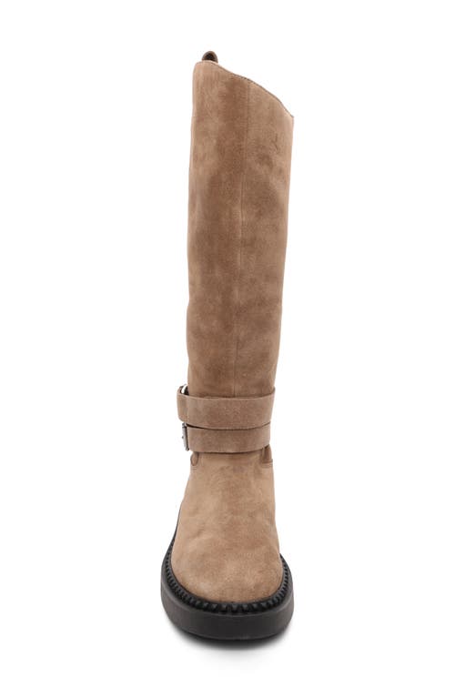 Ash Marlin Knee High Boot In Brown