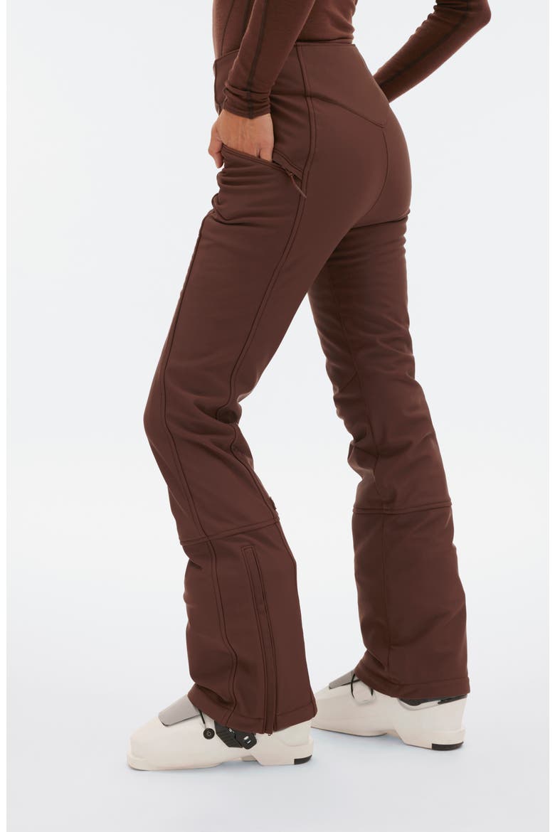 Emma Water Resistant Fleece Lined Ski Pants, Alternate, color, SPIKED COCOA