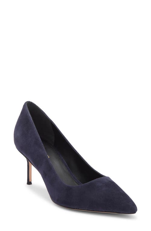 Veronica Beard Rita Pointed Toe Pump In Blue