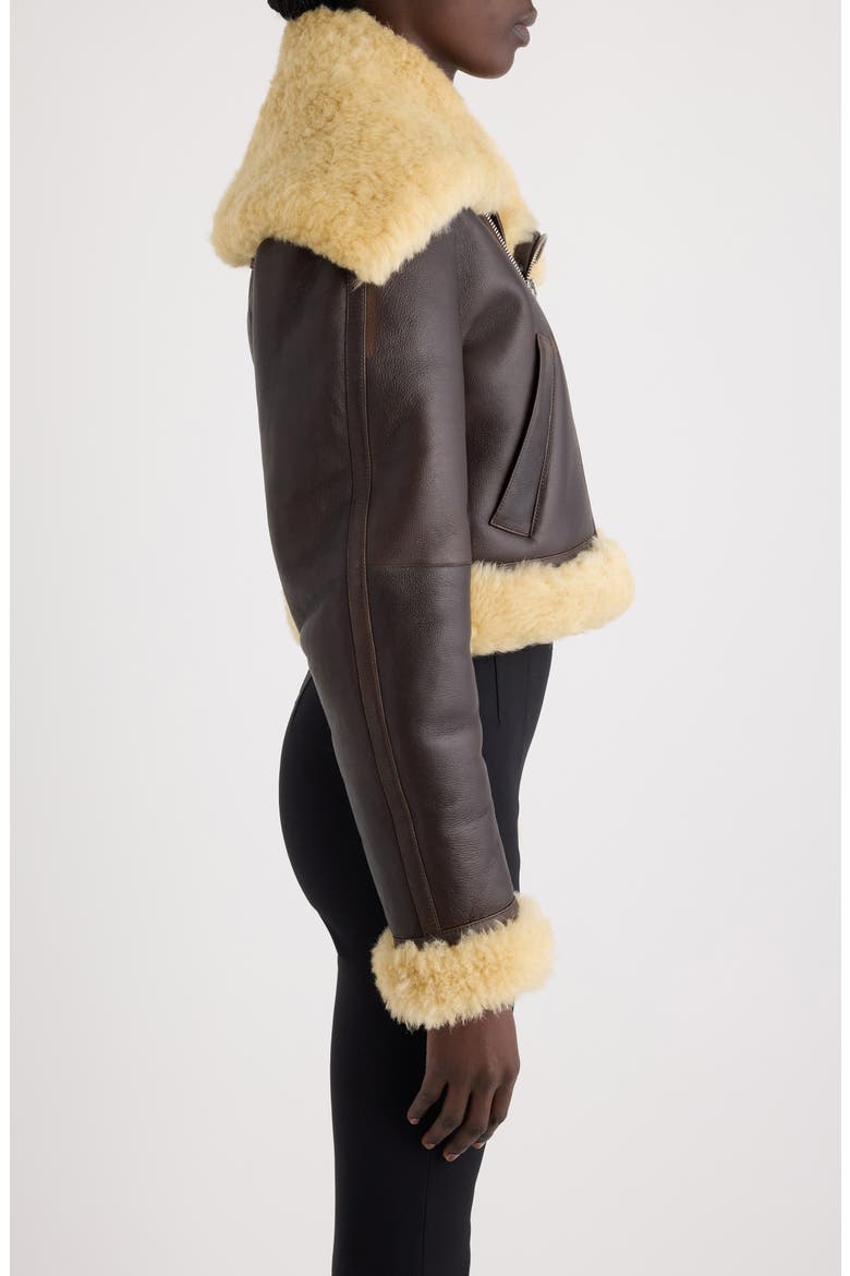 The Aviatore Asymmetric Aviator Jacket, Alternate, color, DARK BROWN