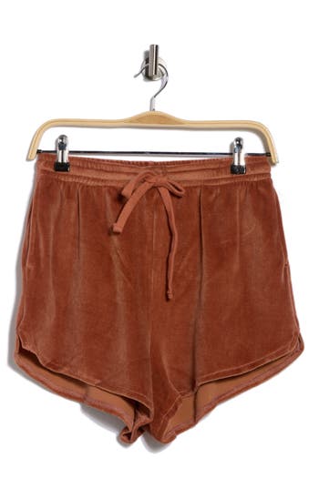 Vitamin A ® Mari Cover-up Shorts In Brown