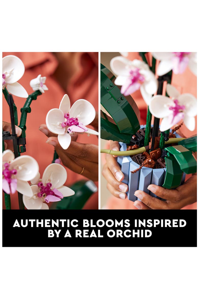 Botanicals Orchid - 10311, Alternate, color, MULTI