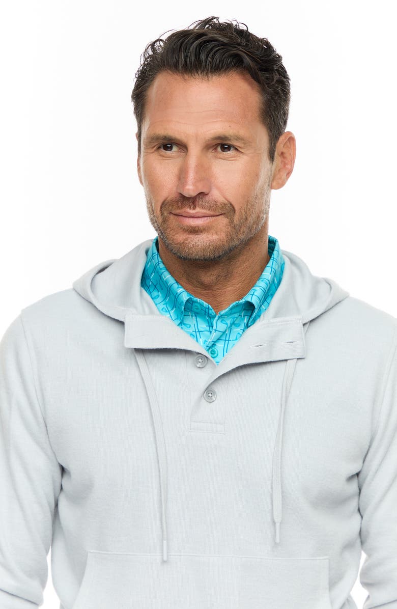Robert Graham Bolton Hooded Knit Pullover, Alternate, color, Light Grey