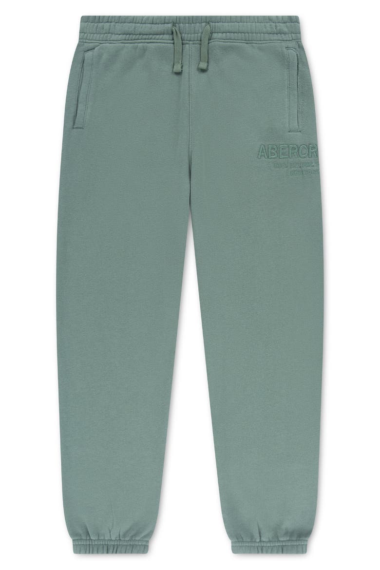 Kids' Loose Cotton Blend Fleece Sweatpants, Main, color, DARK FOREST
