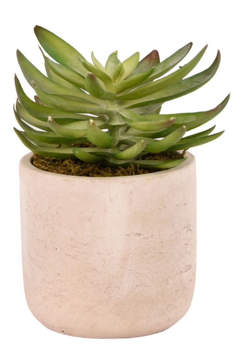 Desert Echeveria Succulent Planter Decoration, Main, color, GREEN