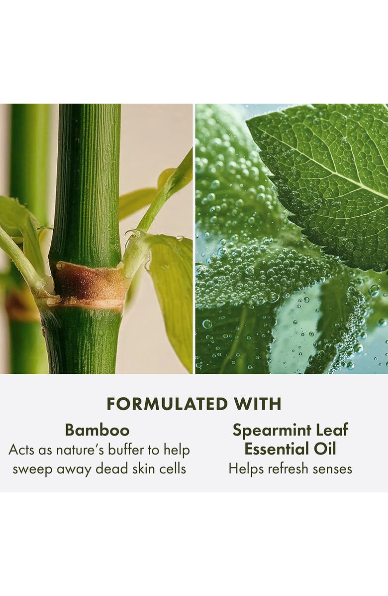 Origins Checks and Balances<sup>™</sup> Polishing Face Scrub, Alternate, color, 