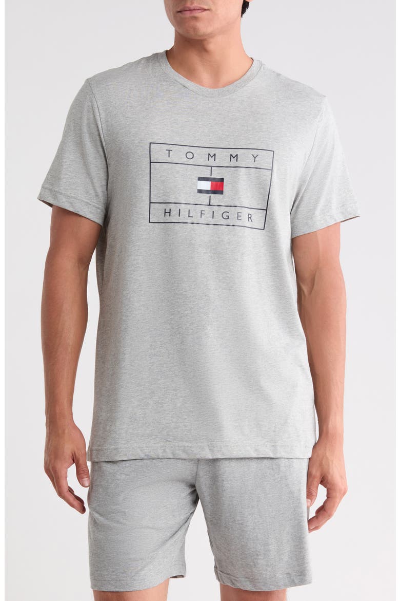 Logo Graphic T-Shirt, Main, color, GREY HEATHER