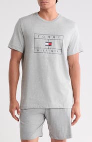 Tommy Hilfiger Logo Graphic T-Shirt