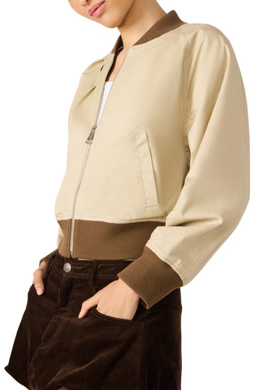 Steve Madden Bray Cotton Crop Bomber Jacket In Neutral