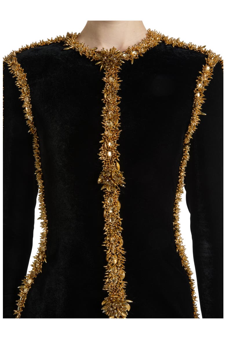 Velvet Dress with Embroidered Trim, Alternate, color, black