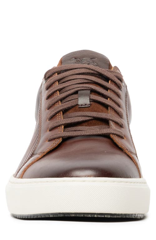 Rodd & Gunn Transit Sneaker In Chestnut