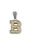  Silver/Gold B