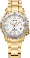 Citizen Promaster Sea Dive Solar Bracelet Watch
