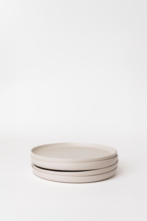 House Of Revelry Essential Salad Plate, Set Of Four In Neutral