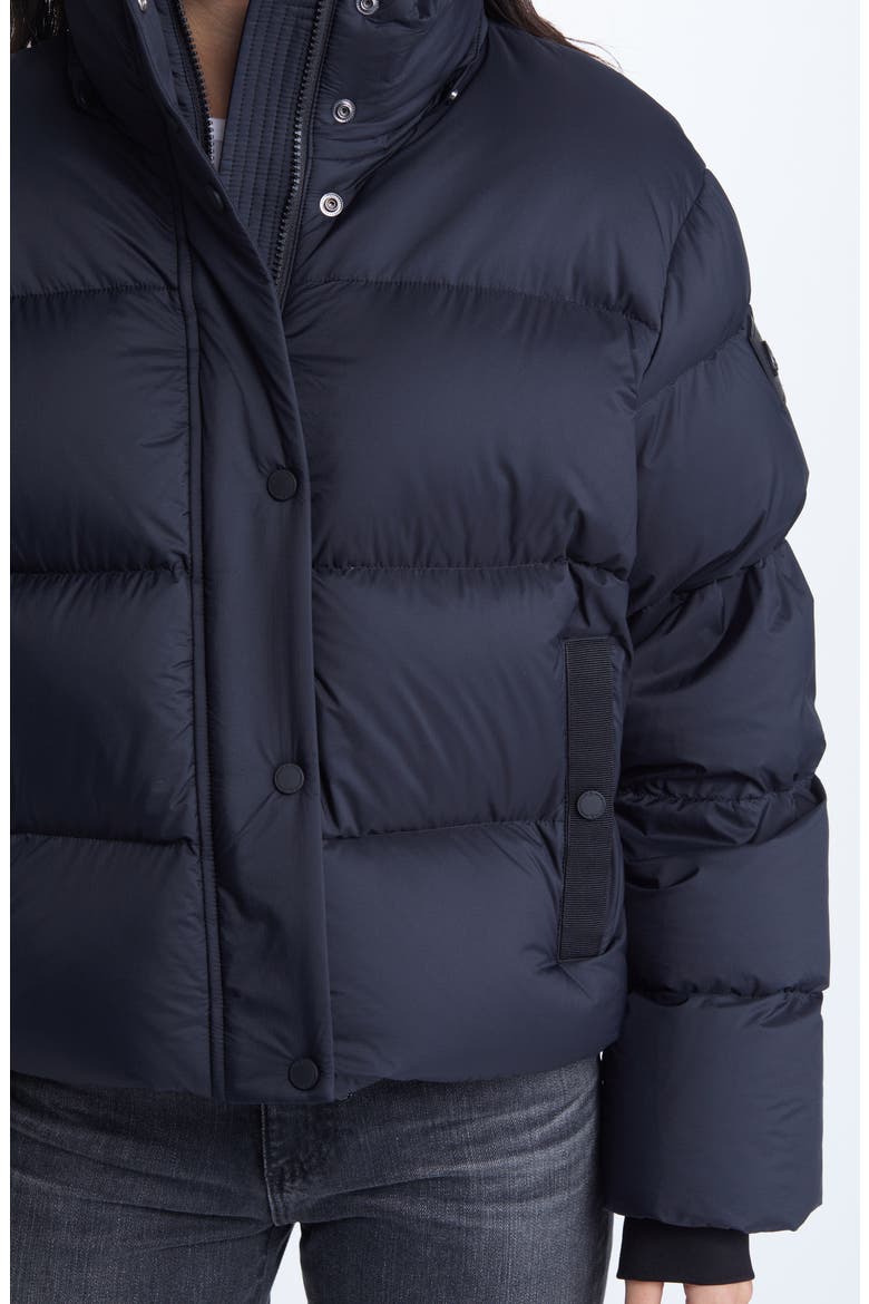Women's Prospect Down Hooded Puffer Coat, Alternate, color, BLACK