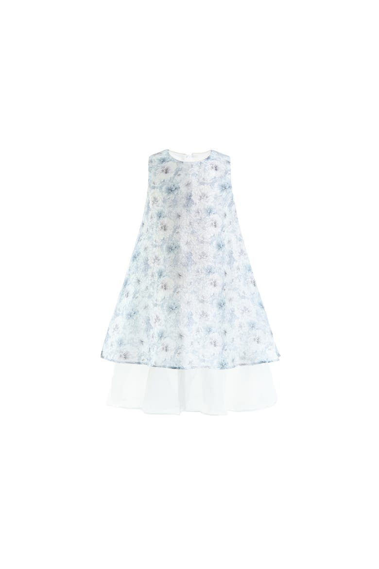 Floral Sleeveless Layered Dress, Main, color, Blue