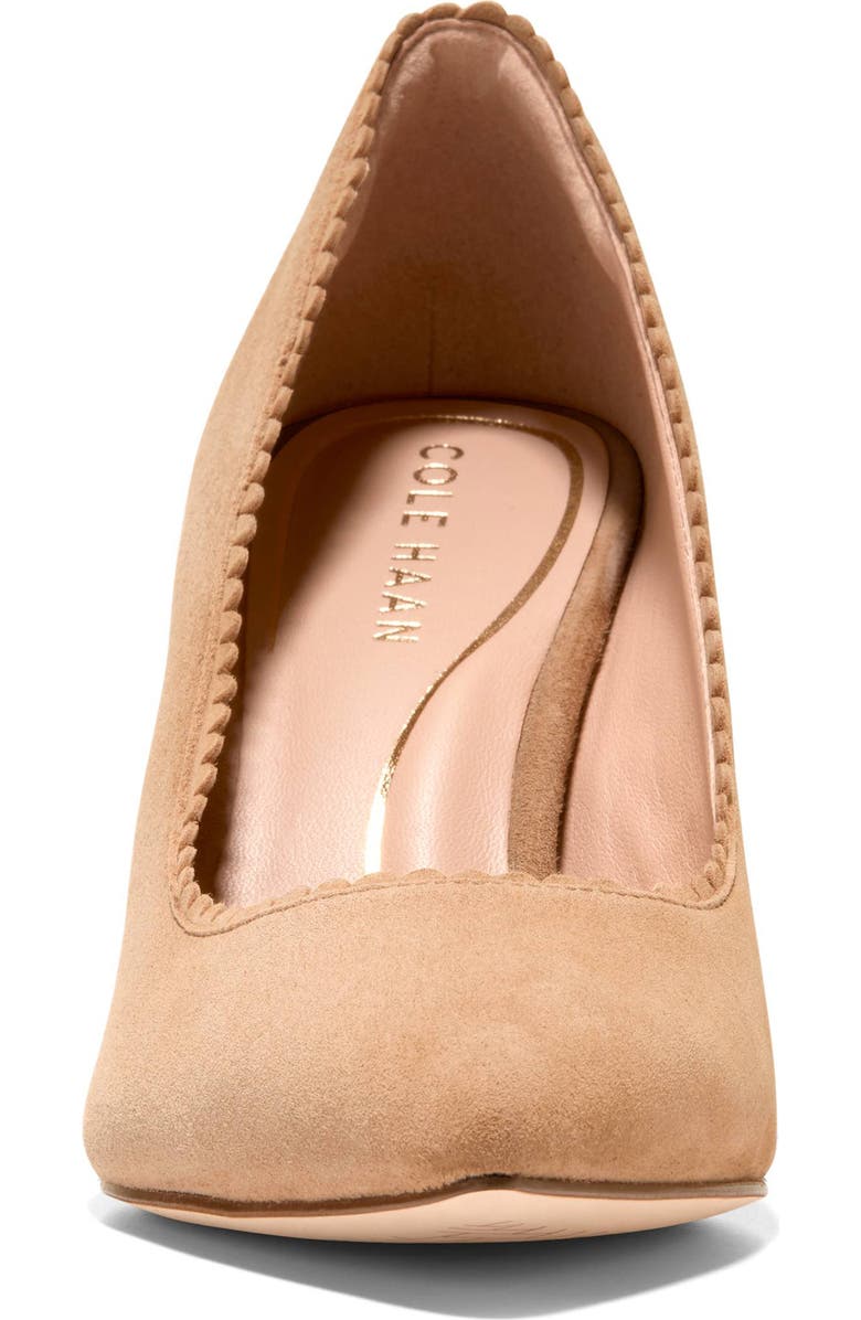 Cole Haan Bellport Pointed Toe Pump, Alternate, color, Blush Tan Suede