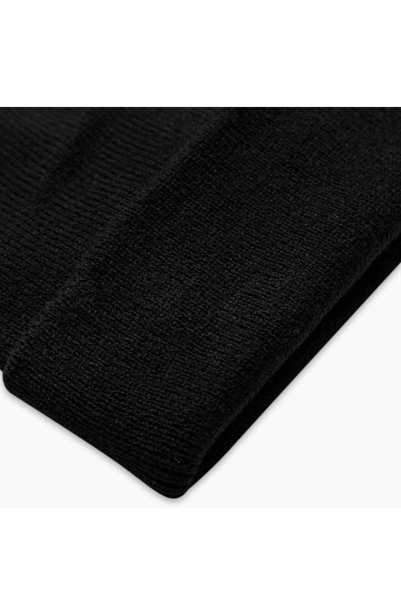 Turtle Fur Explorer Cuffed Beanie, Alternate, color, Black