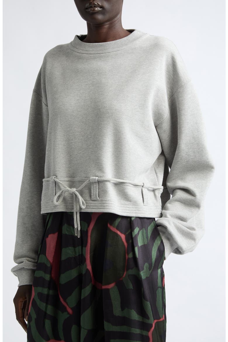 Hasterfiela Cotton Sweatshirt, Alternate, color, GREY MELANGE