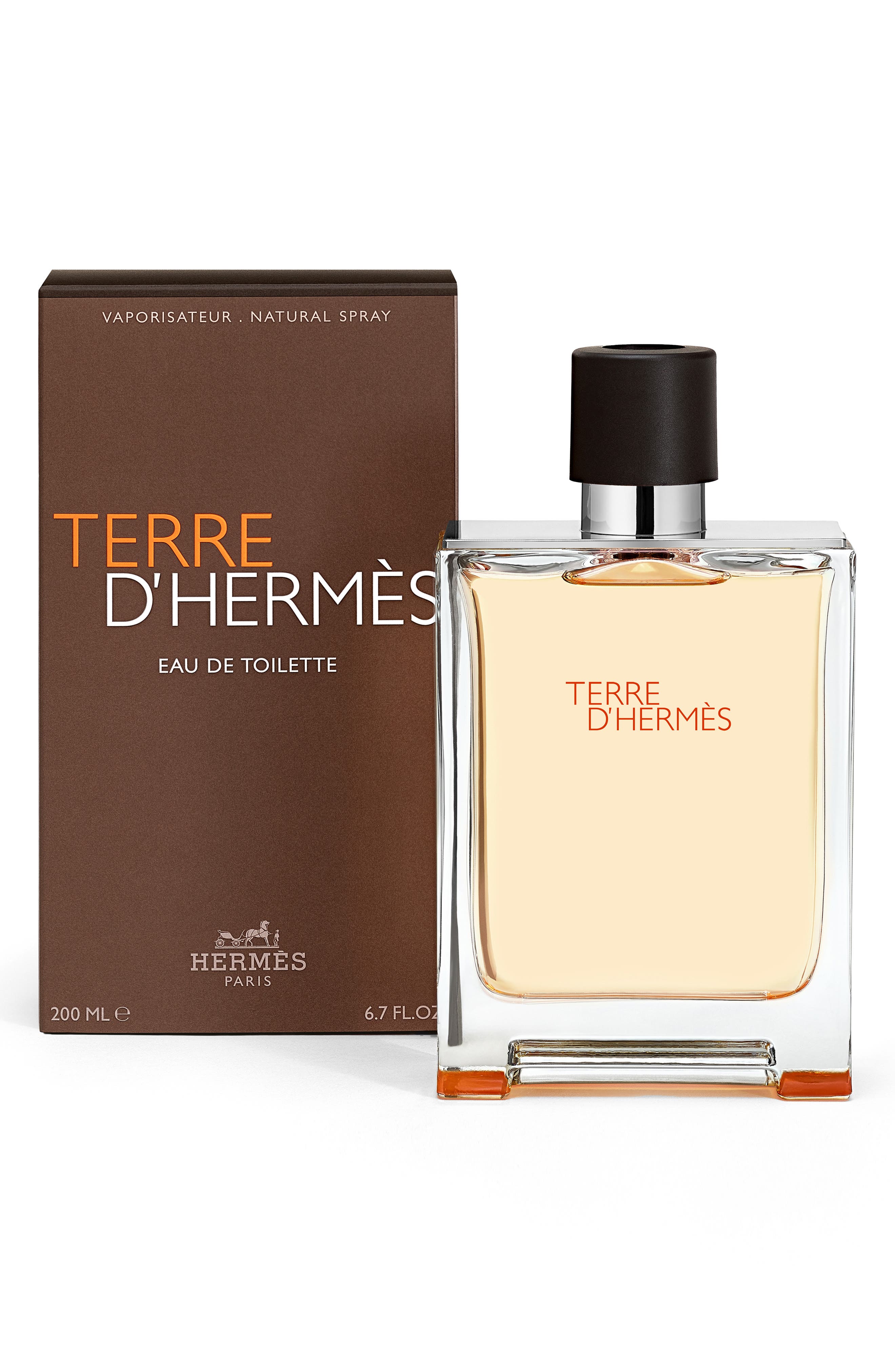 TERRE D'HERMES Eau de Toilette 100mL 限定版 Hermès Terre d'Hermès - Eau de Toilette (Men) | Nordstrom