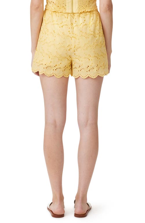 HABITUAL HABITUAL EMBROIDERED EYELET COTTON CARGO SHORTS
