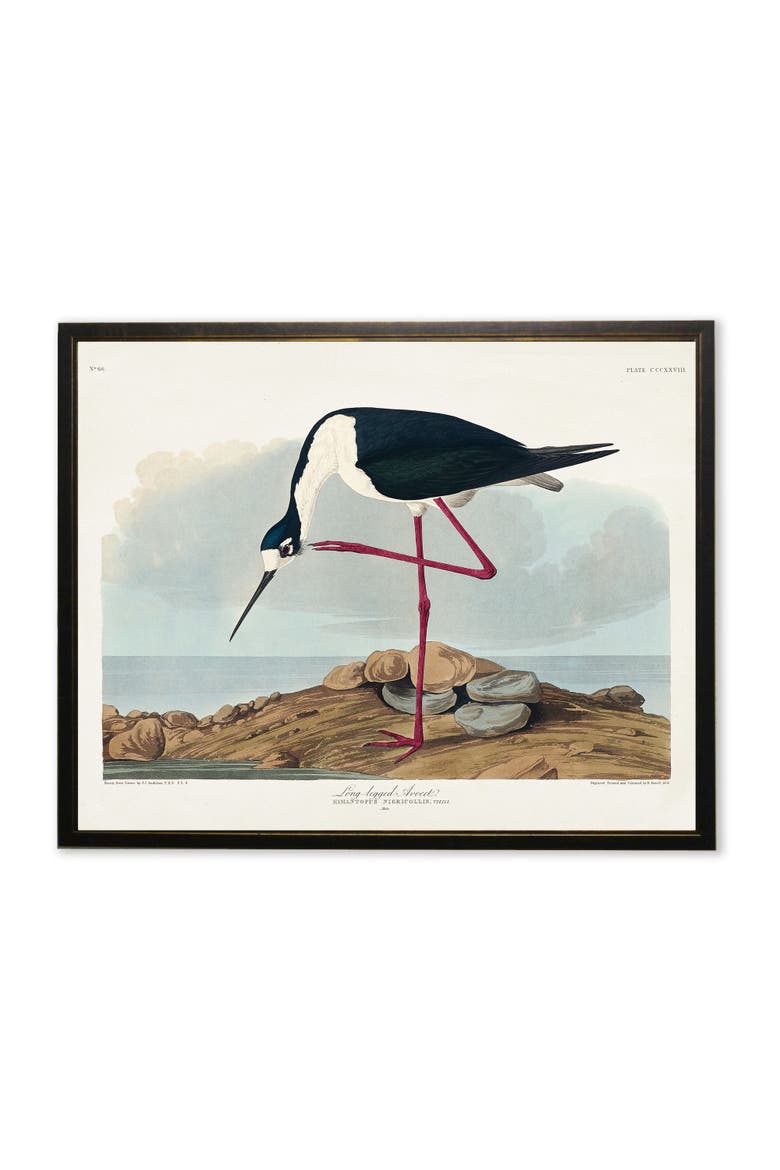 Long-Legged Avocet in Black and Copper Frame, Main, color, Multi