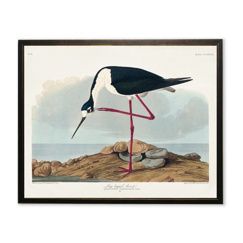 Long-Legged Avocet in Black and Copper Frame