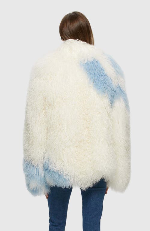 Gorski Mongolian Goat Jacket In Multi
