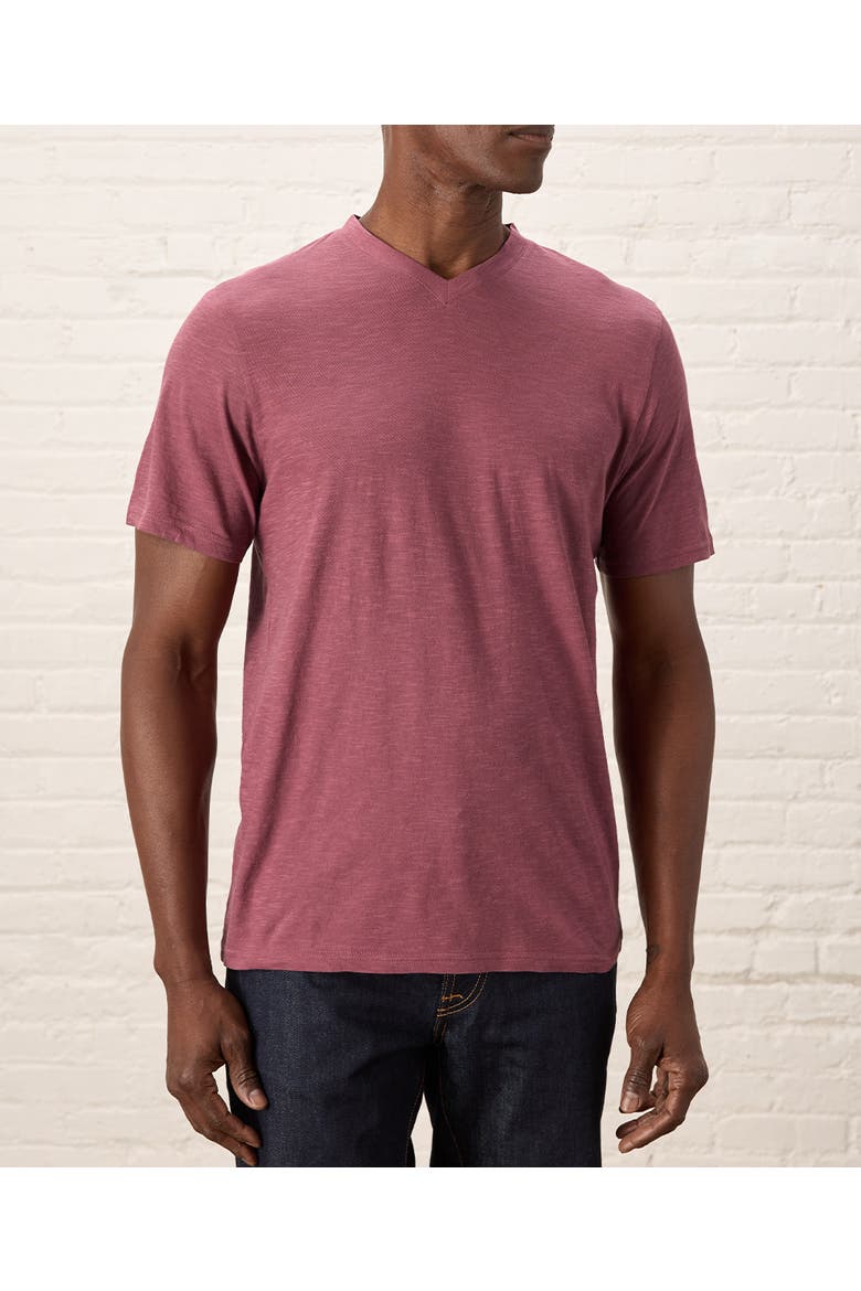 Organic Cotton Featherweight Slub V-Neck Tee, Alternate, color, Mauve