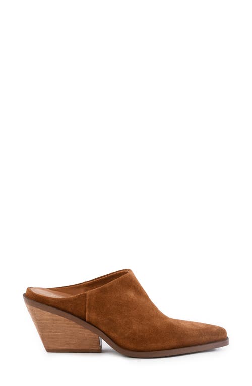 Seychelles Morning Joe Mule In Brown