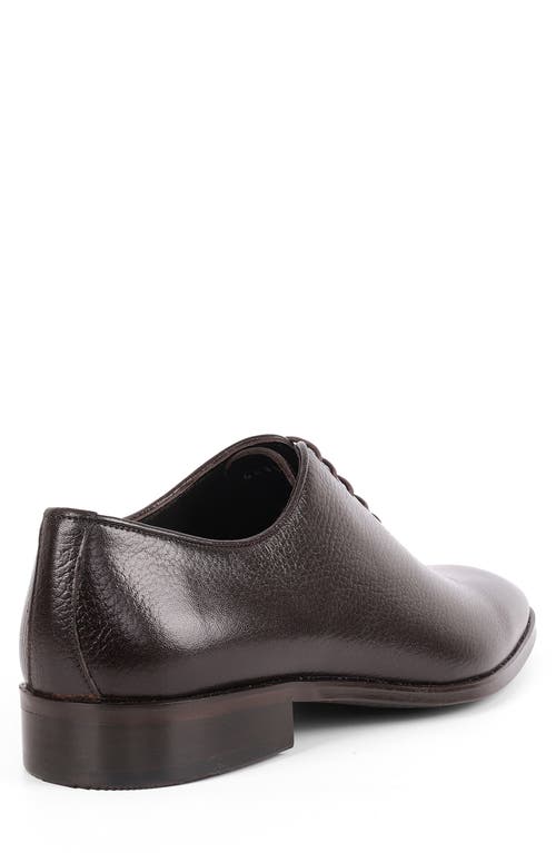 Vellapais Newark Oxford In Dark Brown