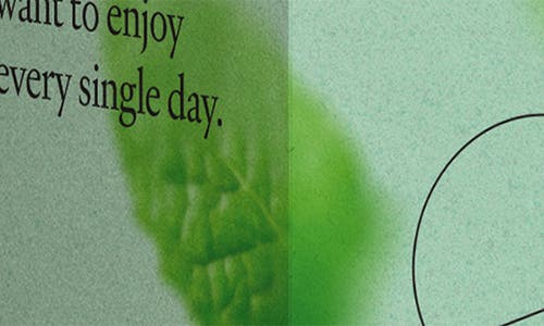 Vitruvi Forest Rain Push Plug-in Scent Refill In Vanilla Mint