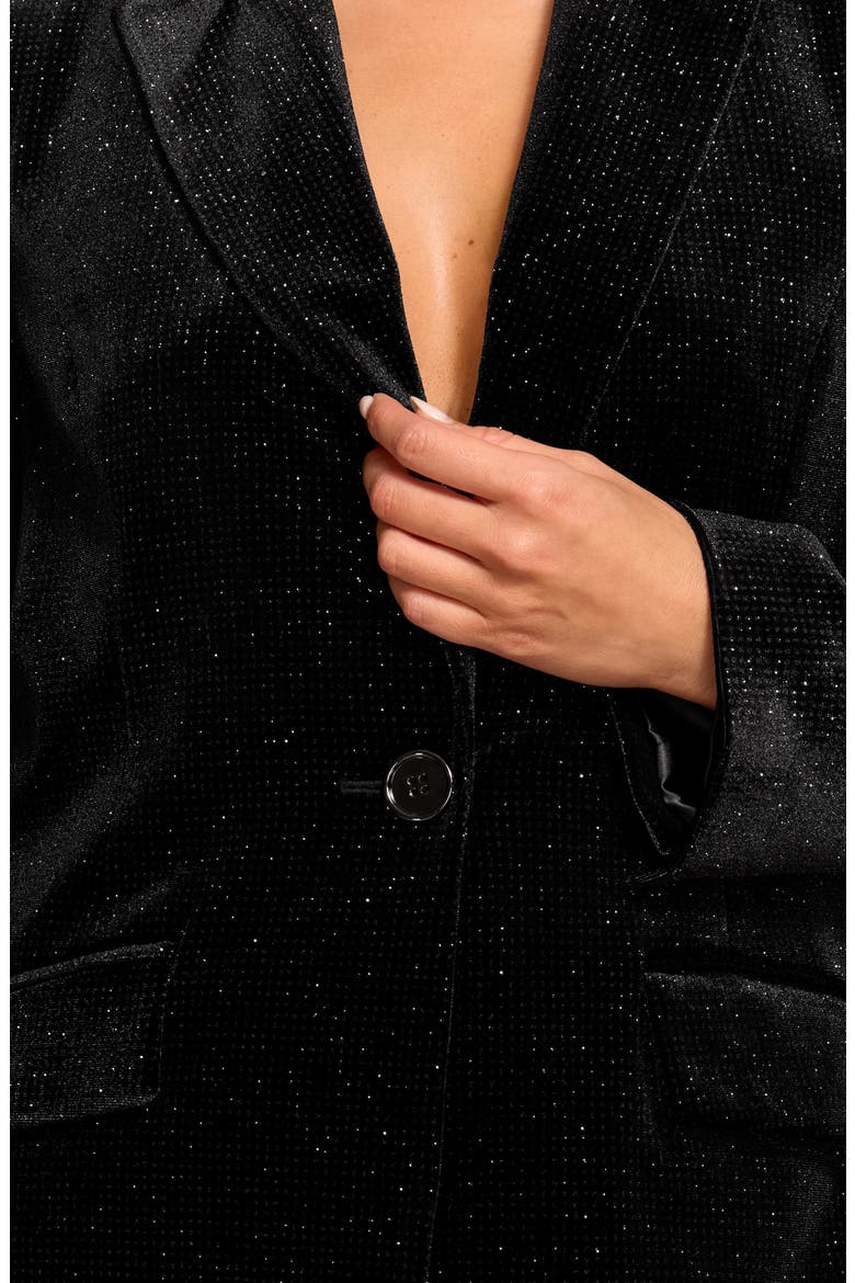Echo Velvet Blazer, Alternate, color, BLACK