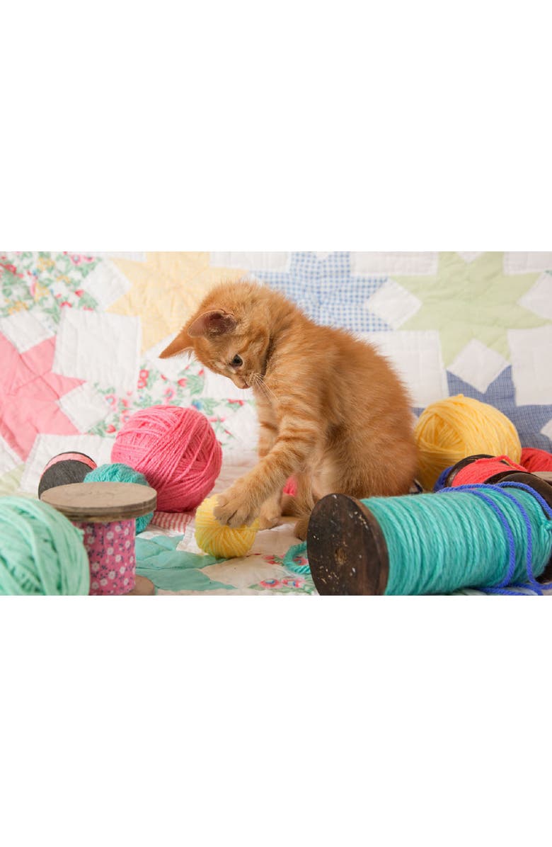 Sunsout Kitty Plays Ball 300 piece Jigsaw Puzzle for Adults, Alternate, color, Multicolor