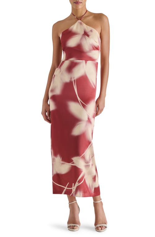 Steve Madden Oaklyn Floral Print Halter Dress In Multi
