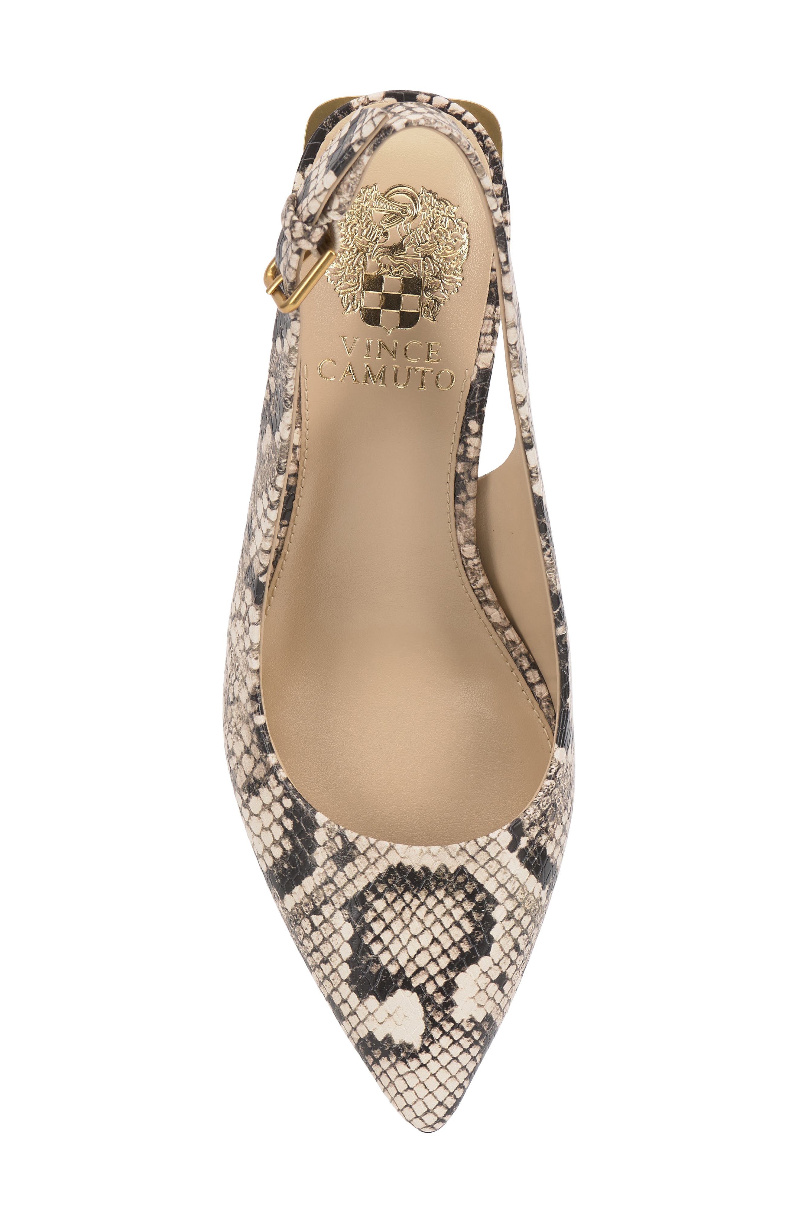 Hamden Pointed Toe Slingback Pump, Alternate, color, BLACK/ CREAM