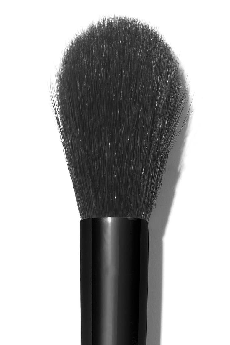 The Blush Brush, Alternate, color, NO COLOR