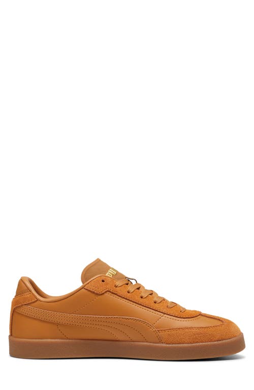 Puma Club Ii Era Leather Sneaker In Brown