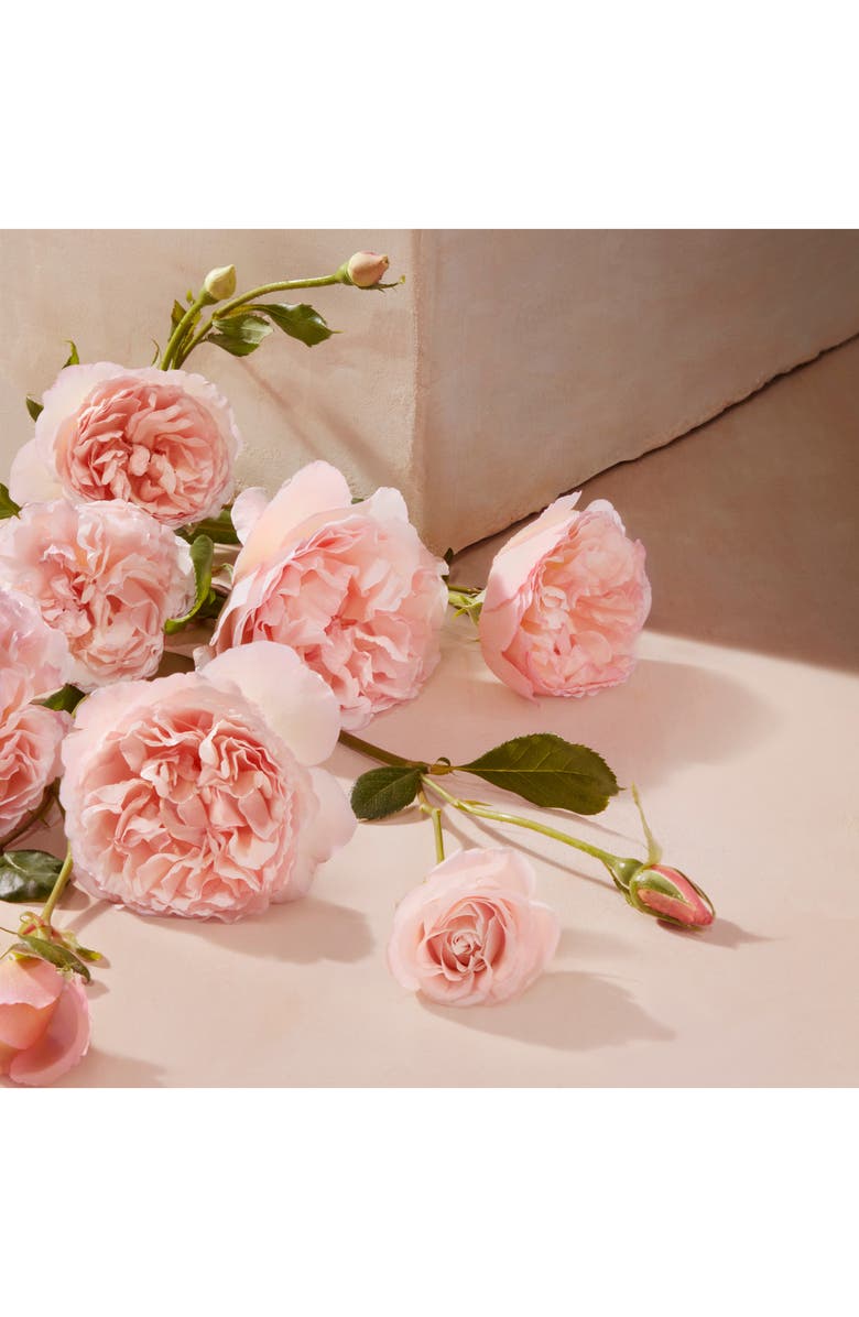 Chloé L'Eau Eau de Toilette, Alternate, color, 