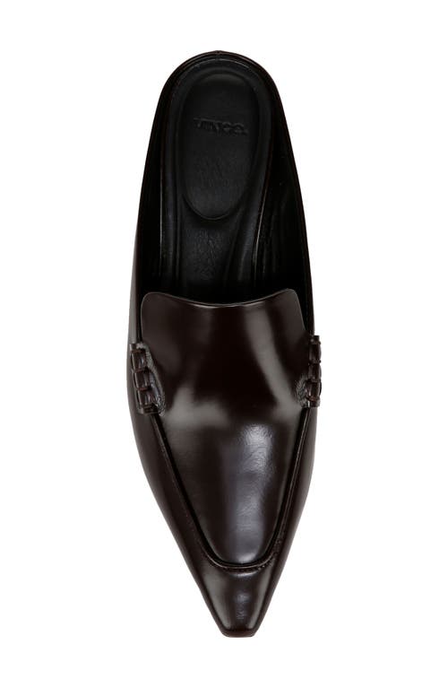 Vince Samy Pointed Toe Kitten Heel Loafer Mule In Brown