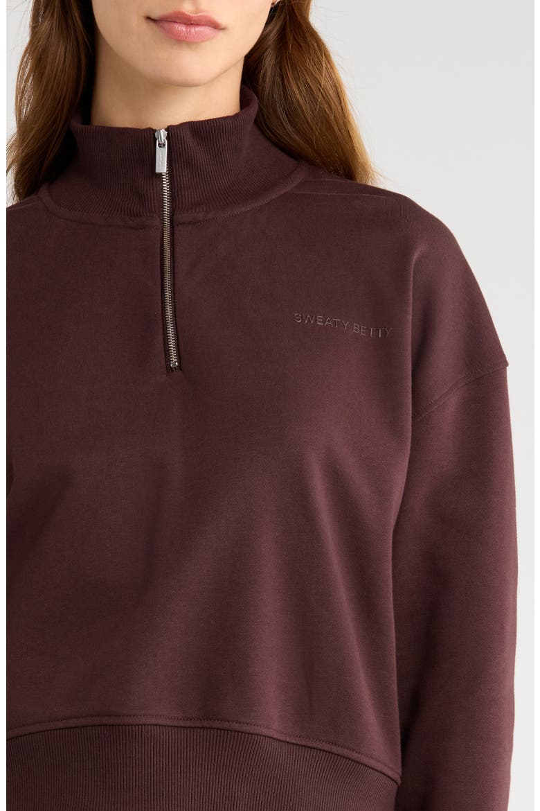 Revive Half Zip Crop Sweatshirt, Alternate, color, SABLE BROW