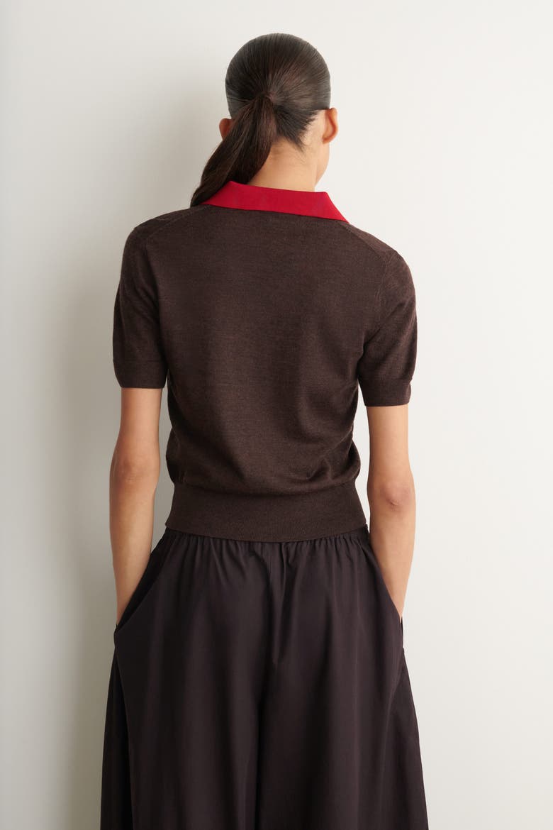 Merino Wool Layered Polo Shirt, Alternate, color, BROWN / RED