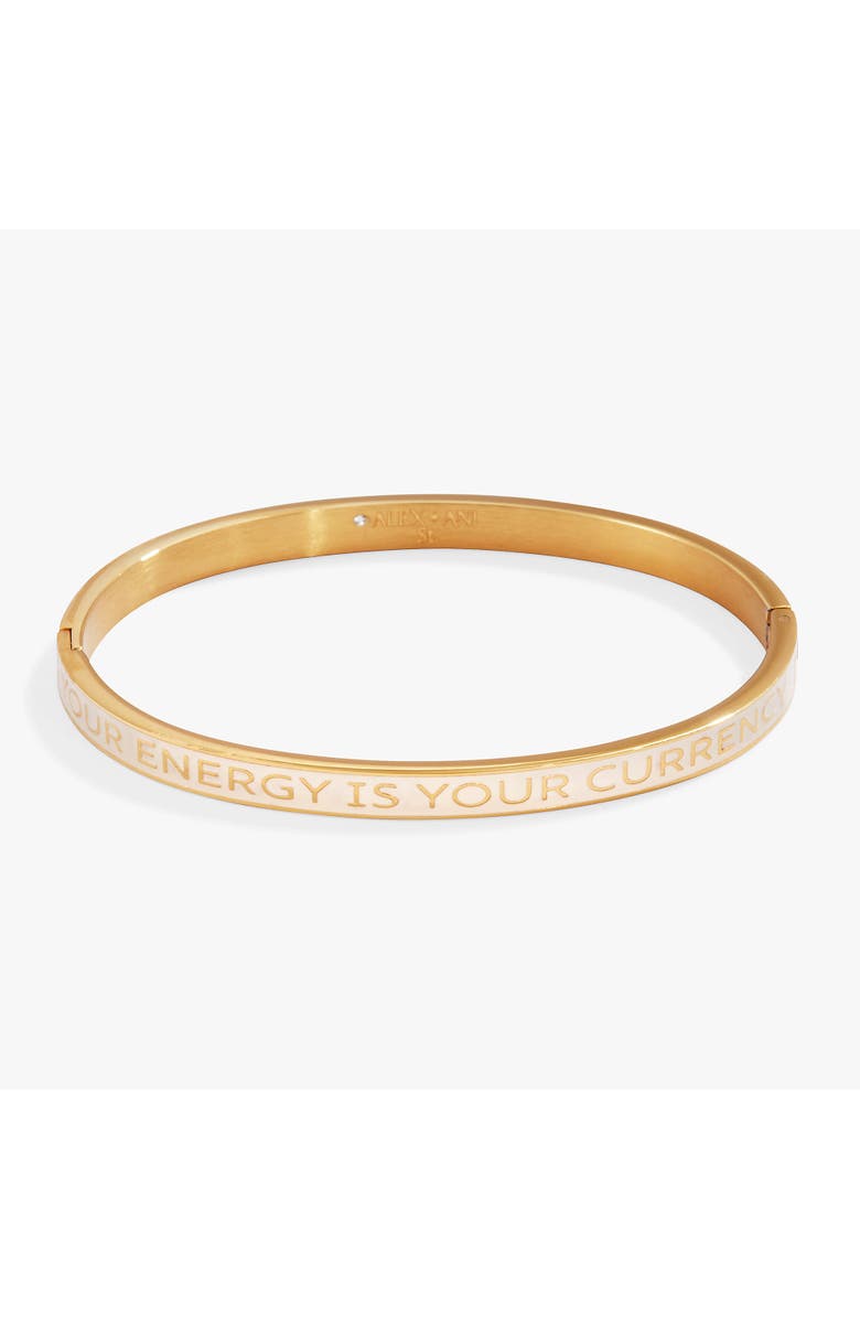 Alex and Ani Your Energy Is Your Currency Hinge Bangle Bracelet, Alternate, color, Gold