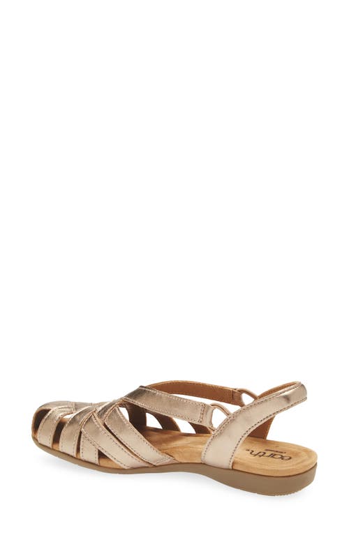 Earth ® Berri Slingback Sandal