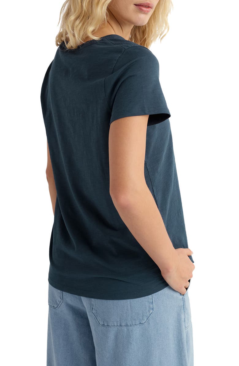 Seasalt Cornwall Kellow V-Neck Organic Cotton T-Shirt, Alternate, color,